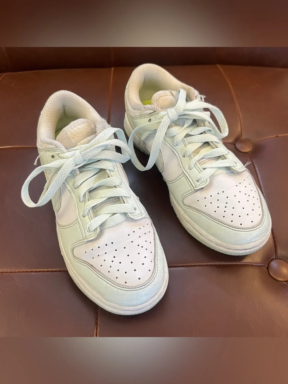 Nike Low-Top Sneakers in Pale Mint/White